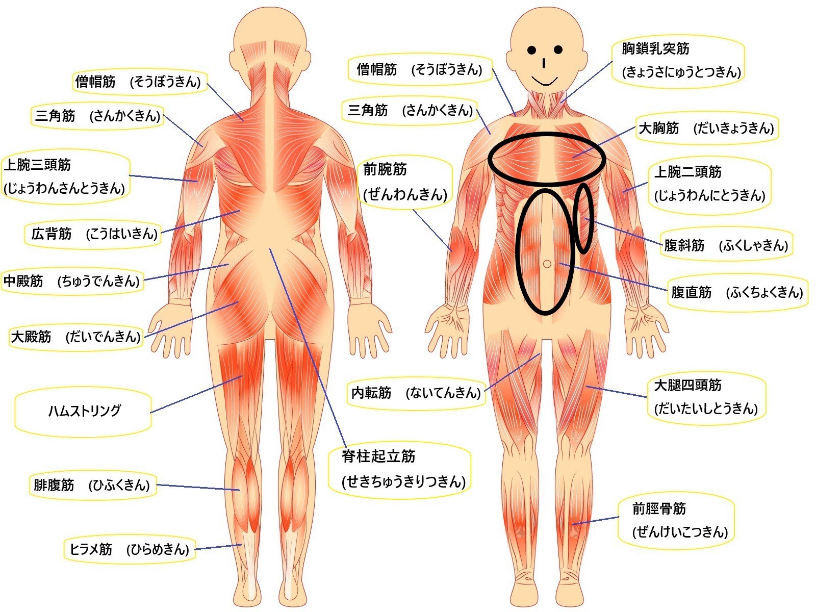 ファーストステージ